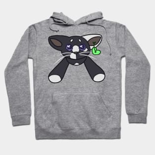 ty beanie ravenpaw Hoodie